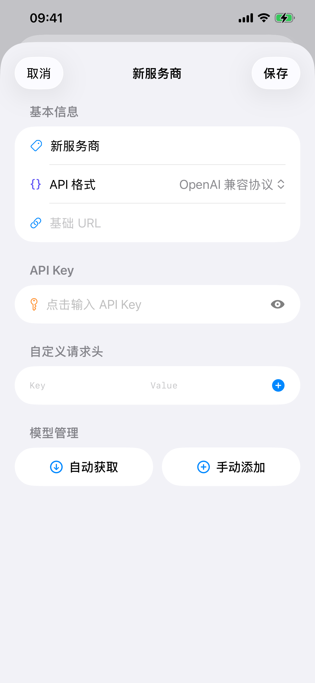 DDchat 自定义 API 服务商设置